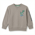 Kids Grey Sweatshirt - Dinosaur Skateboard Graphic & "Good Days Ahead" Sleeve Print (BG-000041)
