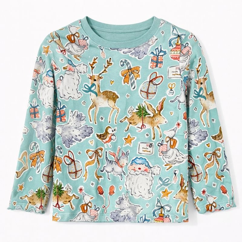 Blue Goose Print Christmas Top