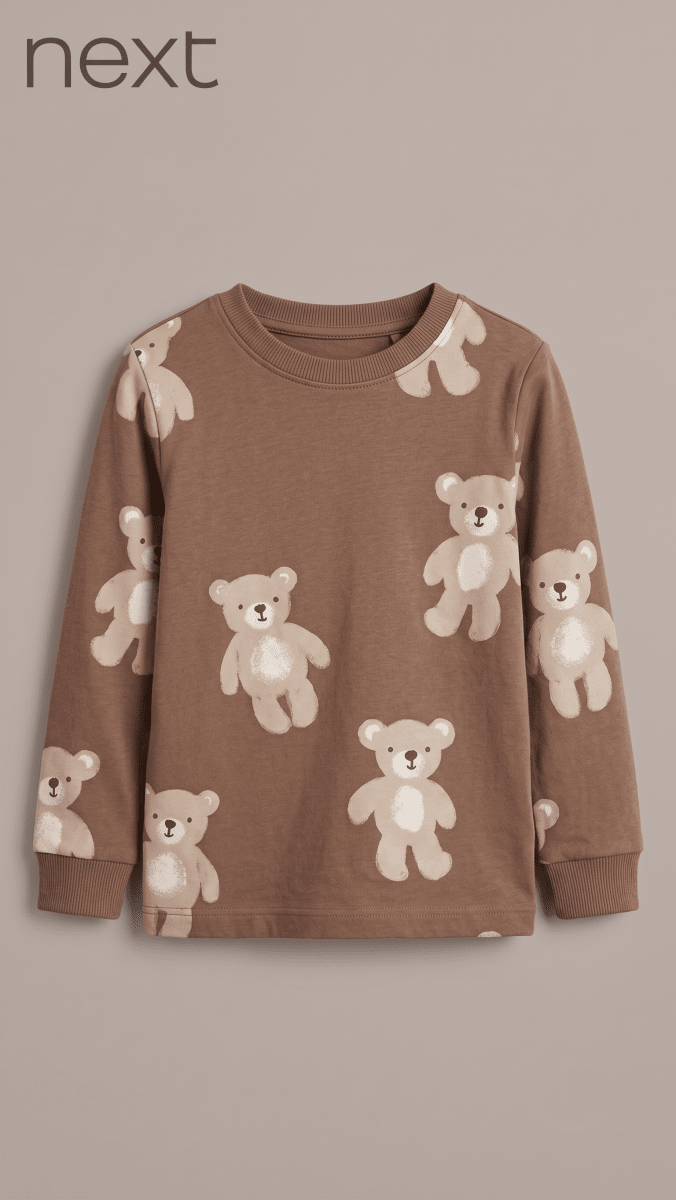 Boys Brown Teddy Bear Print Long Sleeve T-Shirt (BG-000921)