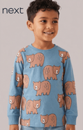 Boys Light Blue Bear Print Long Sleeve T-Shirt (BG-000917)
