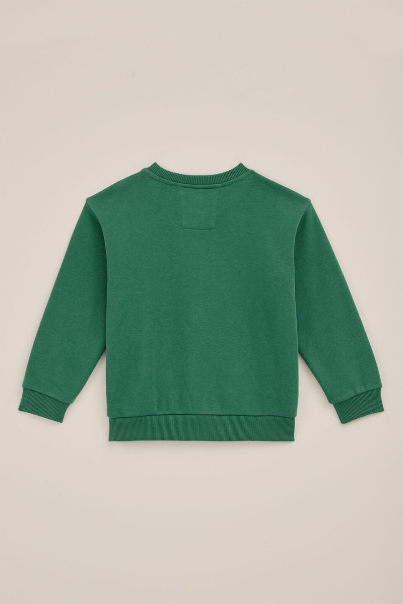 Kids Green Sweatshirt - Cute Dog Face Graphic "Friends Furever" (BG-000058)