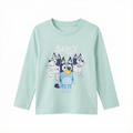 Light blue bluey long sleeved Shirt (BG-000103)