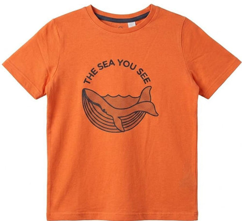 Whale Orange T-shirt (BG-000315) - boy tshirt